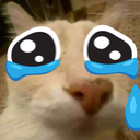 LaCaraPipipi static emote