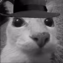 doseenheimer emote