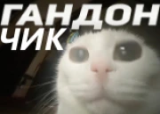 GANDONCHIK emote