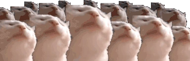 catJAMPARTY emote