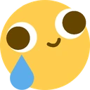 derp_cry emote