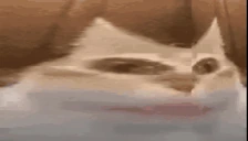 mmr emote