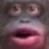 uhoh emote