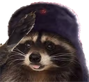 KKomrade emote