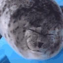 bleh emoji