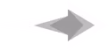 arrowwhite emote