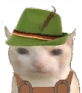 GermanCat emote