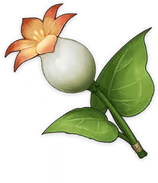 Item_Calla_Lily emoji
