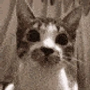 wait emote