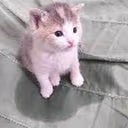 amamemie emote
