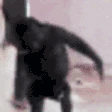 Monke emote