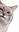 kot emote