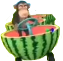 SwagMonke emote