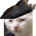bloodbornebutatwhatcost emote