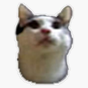 catznstuff avatar