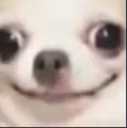 cursed_dog emote