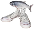 fih emote