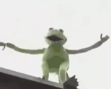 kermit emote