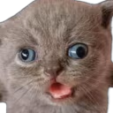 Derp emote