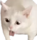 catYuck emote