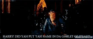 harrydidyouputyournameinthegobletoffire emote