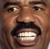 Steve static emote