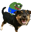 Pepe_Ride_Dog emote