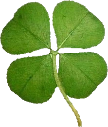 clover emote