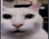 ElCuando emote