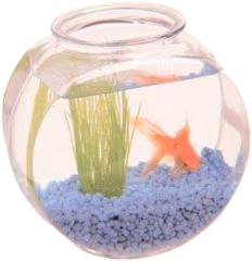 cutefishbowl emote