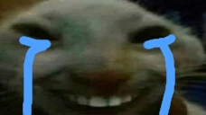 xddcry emote