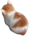 nyAngy emote