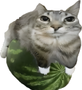 watermelon static emote