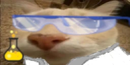 otagScientist emote