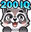 Raccoon_112_33 emote