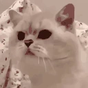 lag emote