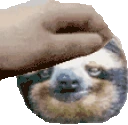 PetTheSloth emote