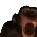 MONKE emote
