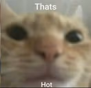 boobs emote