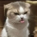 Eww emote