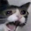 YAMERO emote