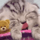 snore emote