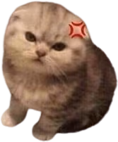 Kitty_angy emote