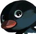 penguinStare emote