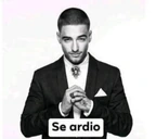 seardio emote