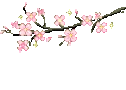 CherryBlossomTree emote