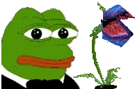 BABA emote