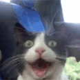 CE_PogCat emote