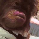 monkeykiss emote