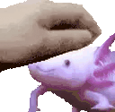 PETTHECUBIC animated emote